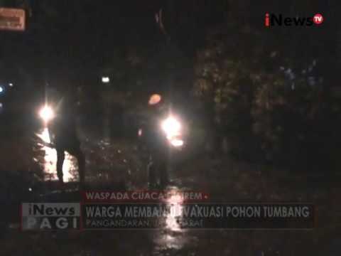 Ratusan pohon juga tumbang akibat angin Puting Beliung di Pangandaran - iNews Pagi 13/10