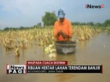 Sungai Bengawan Solo meluap, ribuan hektar lahan pertanian terendam banjir - iNews Pagi 13/10