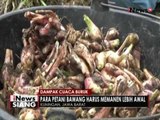 Dampak cuaca buruk, beberapa petani di Purbalingga gagal panen - iNews Siang 26/10