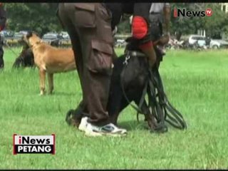 Sejumlah daerah ikut bersiaga dalam aksi 4 November - iNews Petang 03/11