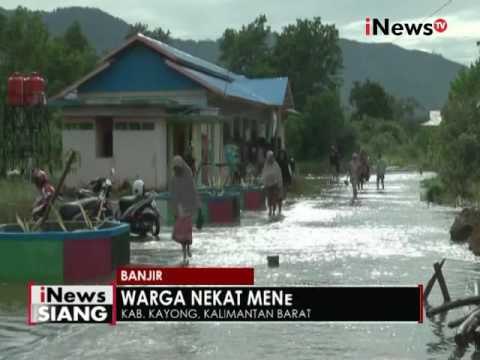 Hujan lebih dari 8 jam akibatkan Kab. Kayong, Kalbar terendam banjir - iNews Siang 17/11