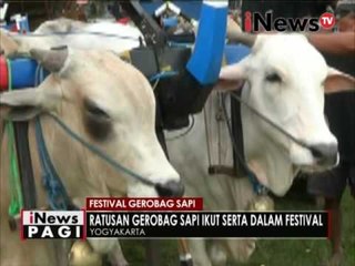 Festival gerobag sapi, ratusan gerobag sapi ikut serta dalam festival - iNews Pagi 05/12
