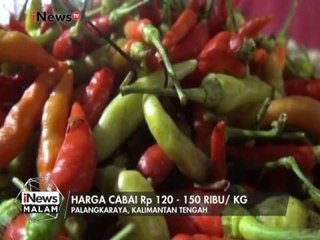 Harga cabai di Palangkaraya turun menjadi Rp 150rb/Kg? - iNews Malam 08/01