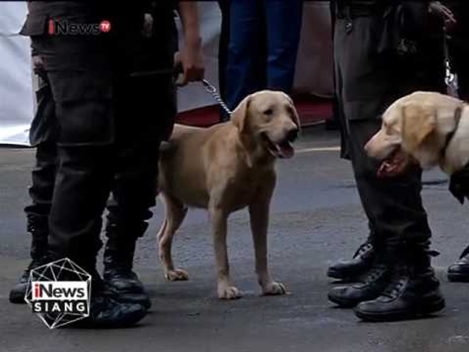 Live Report : Konser Slank dalam mendukung Cagub & Cawagub Pilkada DKI No urut 2 - iNews Siang 04/02