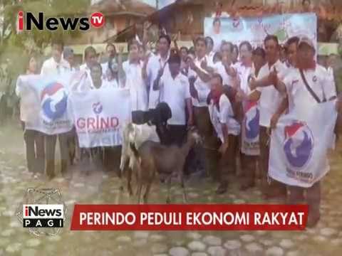 Perindo peduli ekonomi rakyat, 50 ekor kambing dibagikan pada warga - iNews Pagi 16/01