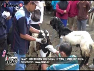 Pasca Penyebaran Penyakit Antraks, Dinas Purworejo Periksa Hewan Ternak Warga - iNews Siang 23/01