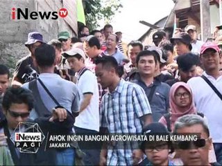 Ahok ingin bangun Agrowisata di Bale Kembang - iNews Pagi 24/01