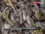 [Waspada] Polres Magetan Gelar Razia & Temukan Ratusan Ayam Tiren Siap Disebar - iNews Pagi 15/05