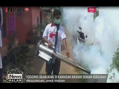 Antisipasi DBD Pada Warga, DPD Perindo Pekalongan Gelar Fogging Gratis - iNews Malam 17/05