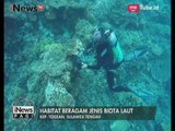 Kepulauan Togean Miliki Harta Karun Bawah Laut yang Tak Kalah dari Bunaken - iNews Pagi 29/05