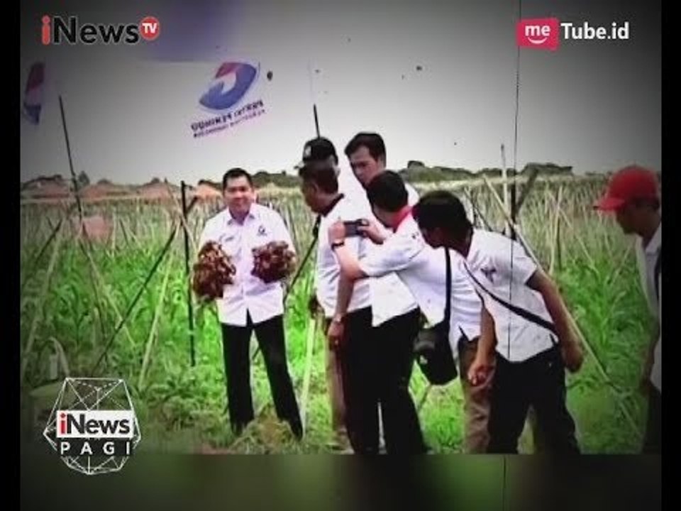 Perindo Terus Dorong Kemajuan UMKM Agar Berkembang Untuk Ciptakan Kesejahteraan - iNews Pagi 29/06