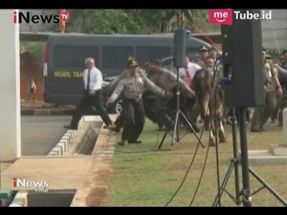 Detik-detik Sapi Milik Walikota Tangsel Lepas Saat Apel Jelang Idul Adha - iNews Pagi 31/08