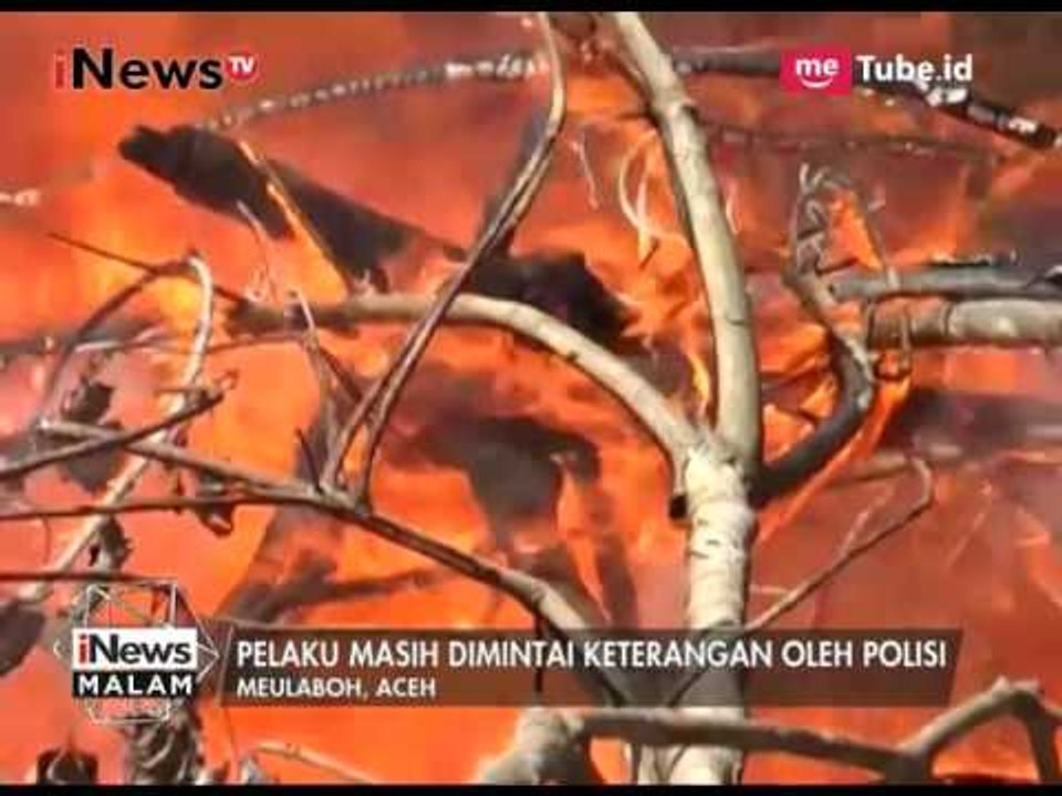 Polisi Berhasil Tangkap Pelaku Pembakar Lahan Gambut Beserta Barang Bukti - iNews Malam 24/07