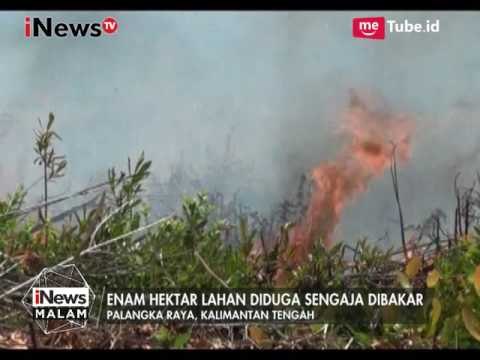 Kebakaran Lahan di Kalimantan Berlanjut, BNPB Belum Mendirikan Posko Bencana - iNews Malam 05/08