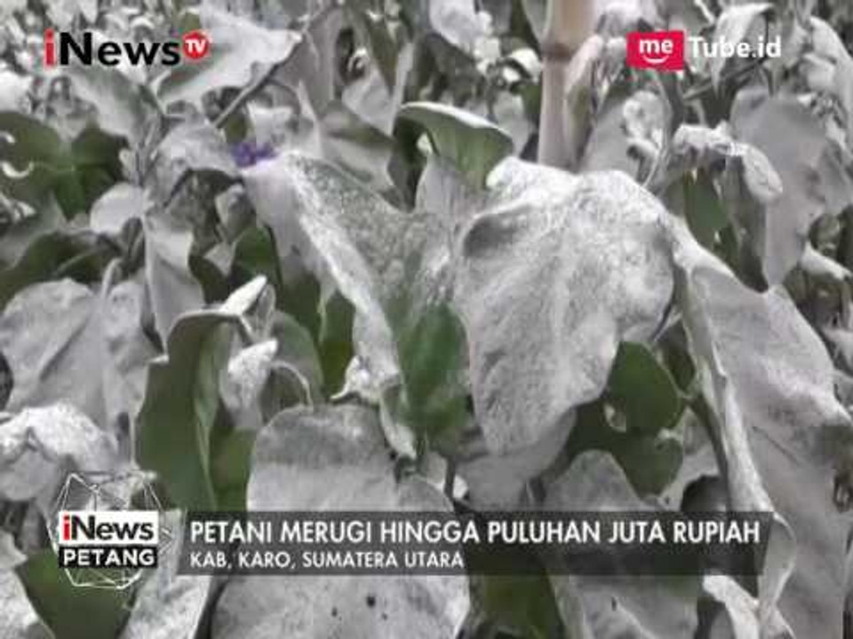 Gunung Sinabung Meletus, dan Seperti ini Dampak Dari Letusan Tersebut - iNews Petang 06/08