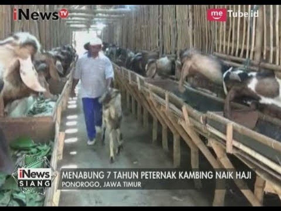 Inspirasi! Niat Tulus Mengantarkan Seorang Peternak Kambing untuk Berhaji - iNews Siang 07/08