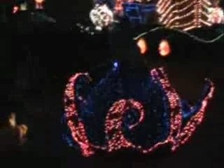 6-Magic Kingdom Parade de Nuit