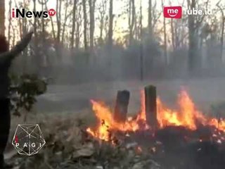 Taman Nasional Baluran Situbondo Dibakar Oknum Tak Bertanggung Jawab - iNews Pagi 17/08