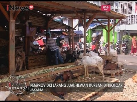Pemprov DKI Larang Penjualan Hewan Kurban di Trotoar & Akan Cabut KJS - iNews Petang 18/08