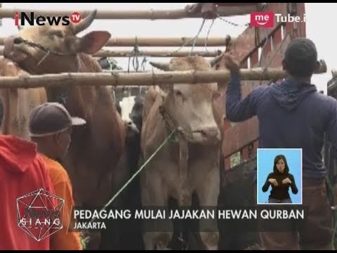 Pedagang Hewan Qurban Mulai Menjamur, Dinkes Tak Imbangi Pemeriksaan - iNews Siang 18/08