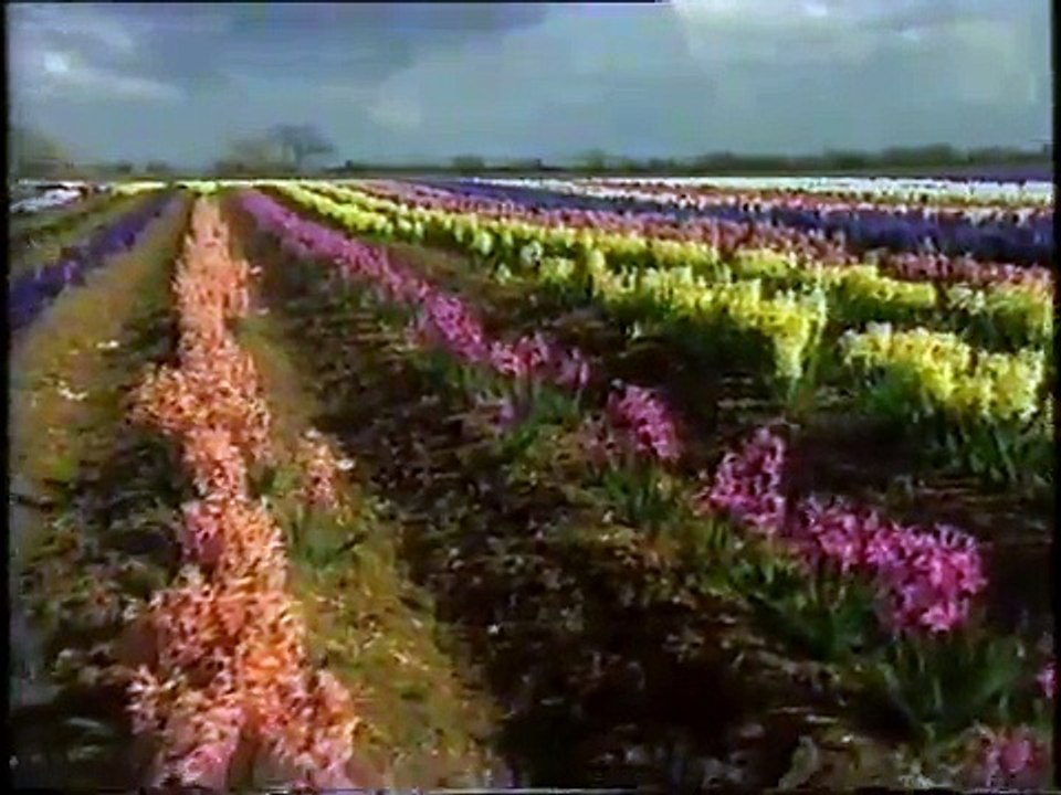 Gardeners' World March [1996] 3 Of 3