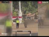 Polisi Pastikan Warga yang Mencoba Terobos Istana Karena Depresi Kehilangan Pacar - iNews Pagi 29/08