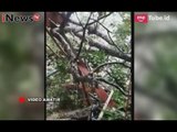 Ratusan Rumah Dibekasi Tertipa Pohon Pasca Diterjang Angin Puting Beliung - iNews Malam 23/10