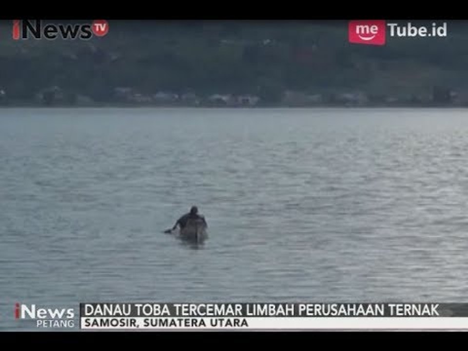 Danau Toba Kebanggaan Warga Sumut Terancam Tercemar Perusahaan Ternak - iNews Petang 04/09