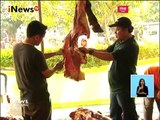 Proses Penyembelihan & Pembagian Daging Qurban di Masjid Al Marjan Depok - iNews Siang 02/09