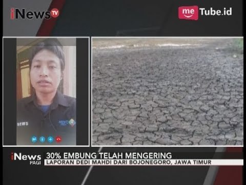 Kondisi Terkini Terkait Kekeringan di Bojonegoro Jawa Timur - iNews Pagi 08/09