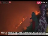 Bukit di Gunung Bromo Alami Kebakaran Hingga Beberapa Wisata Ditutup Sementara - iNews Pagi 12/09