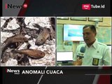 Masuki Puncak Kemarau, BMKG Surabaya Katakan Saat Ini Masih Dalam Kondisi Normal - iNews Pagi 20/09