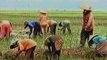 Permasalahan Sektor Pertanian, Petani Butuh Bantuan & Perhatian Dari Semua Pihak - iNews Pagi 20/09