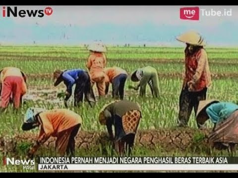 Permasalahan Sektor Pertanian, Petani Butuh Bantuan & Perhatian Dari Semua Pihak - iNews Pagi 20/09