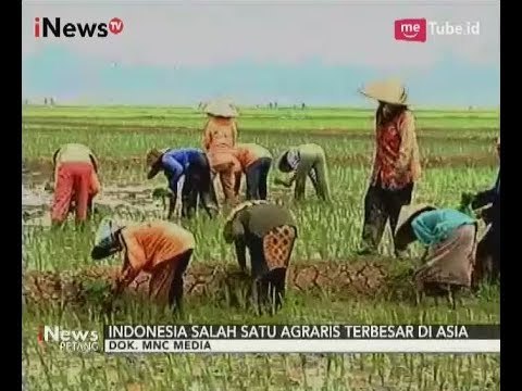 Sektor Pertanian di Indonesia yang Terbesar, Namun Permasalahan Sering Terjadi - iNews Petang 19/09