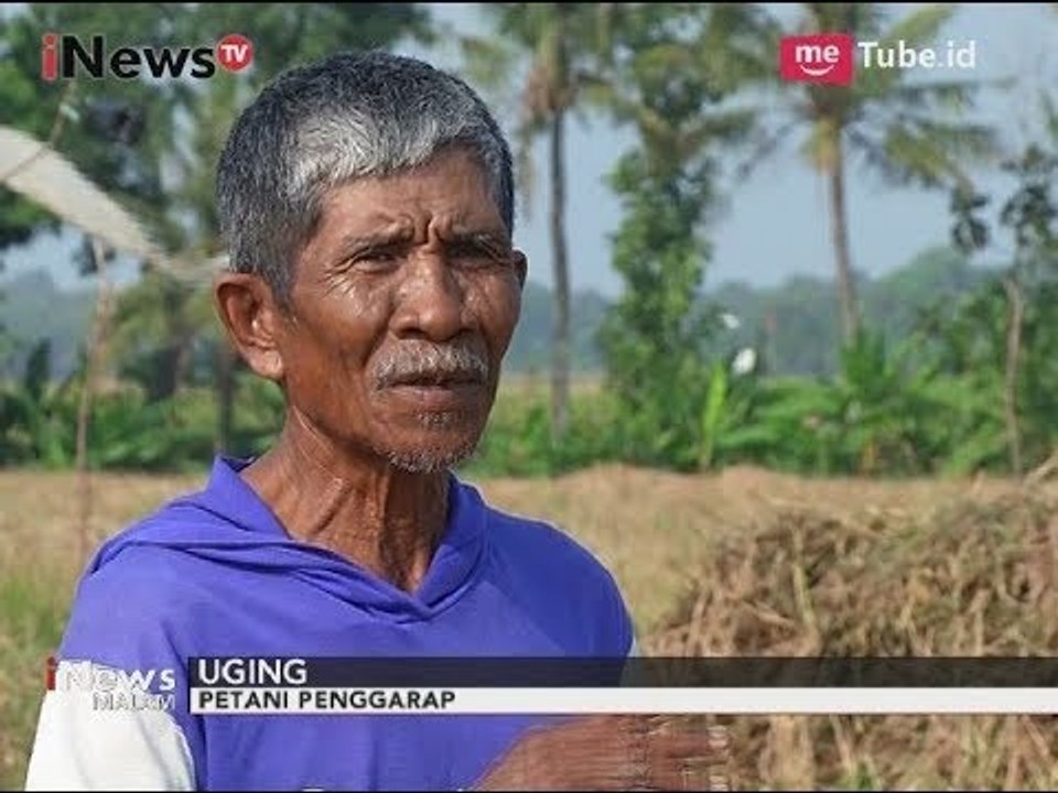 Lahan Tani Makin Berkurang, Produksi Para Petani Karawang Menyusut - iNews Malam 22/09