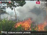 Status Kebakaran Lahan di Kalimantan Tengah Masih Siaga - iNews Pagi 22/09