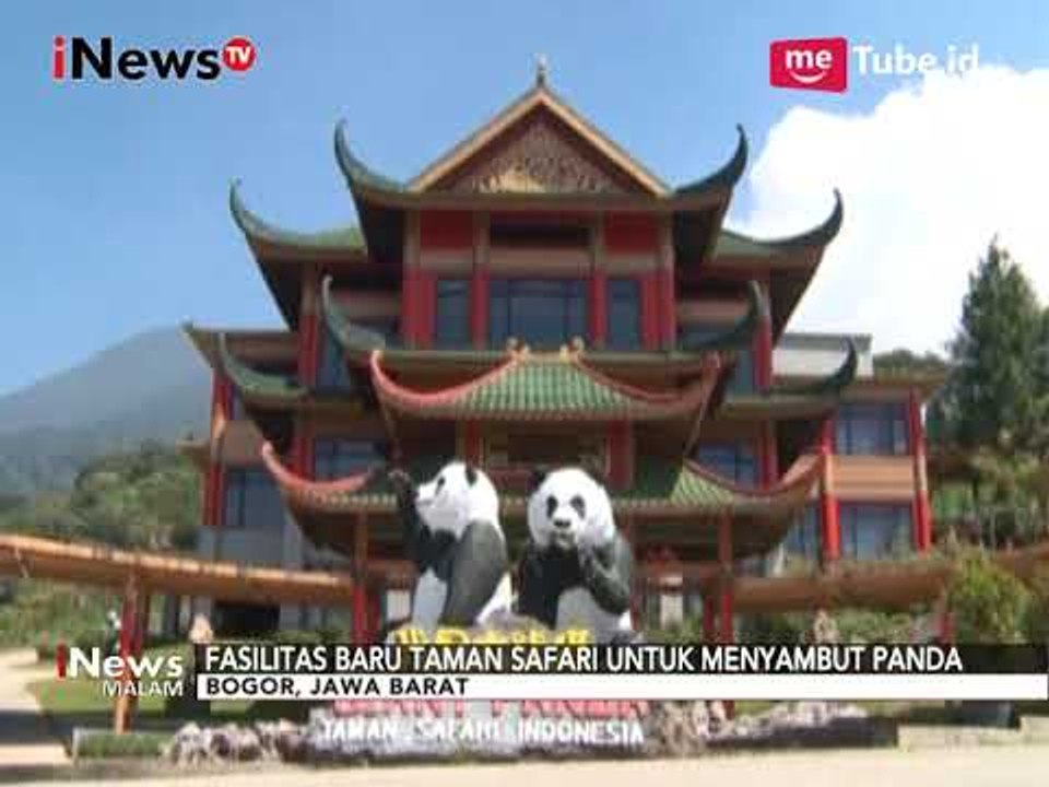 WOW!! Taman Safari Bogor Akan Kedatangan 2 Panda dari Tiongkok - iNews Malam 24/09
