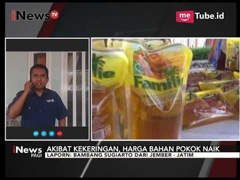 Kekeringan Berdampak Gagal Panen, Bulog Gelar Bazar Murah Sembako di Jember - iNews Pagi 26/09