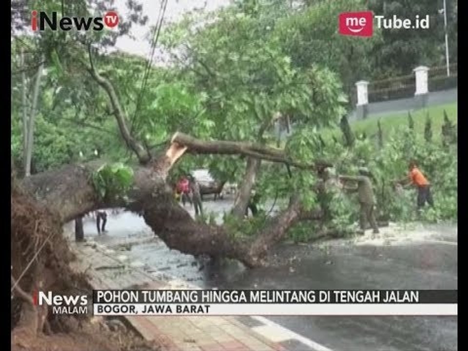 Pohon di Depan Istana Bogor Tumbang, Satu Pengendara Motor Terluka - iNews Malam 27/09