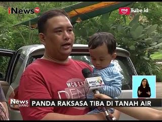 Kedatangan Panda Dari Tiongkok, Warga Antusias Datang ke Safari Untuk Melihat - iNews Siang 29/09