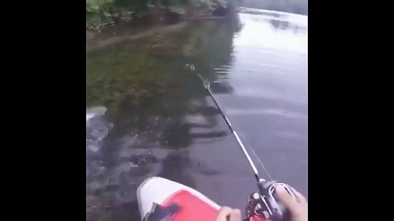 Amaizing Fight With Big Catfish
