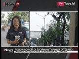 Untuk Pelebaran Trotoar, Petugas Menebang Pohon-pohon di Jalan Soedirman - iNews Pagi 06/10