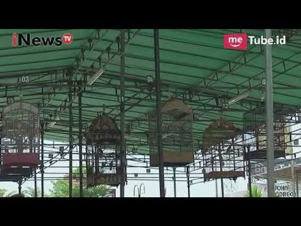 Mendekatkan Diri ke Masyarakat, Perindo Gelar Lomba Burung & Turnamen Sepakbola - iNews Pagi 05/10