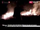 Taman Nasional Rawa Opa Watumohai Terbakar Selama Satu Bulan - iNews Pagi 12/10