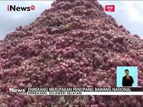 Festival Bawang Merah Nasional, Indonesia akan Mengekspor Bawang Merah - iNews Siang 16/10
