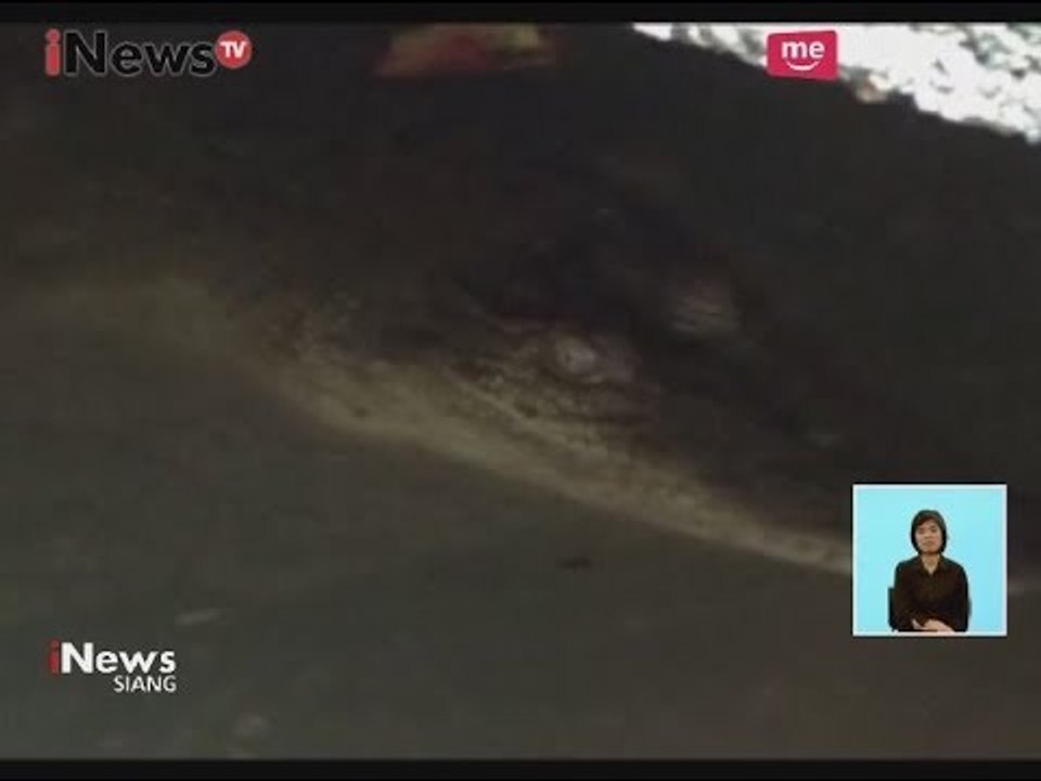 Heboh! Warga Temukan Buaya di Rumah Warga - iNews Siang 14/10