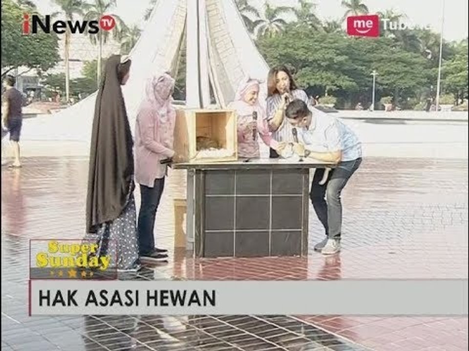 Tips Merawat Kucing Ala Yayasan Peduli Kucing - iNews Pagi Super Sunday 15/10