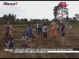 Masyarakat Sibayak Lau Cih Kembali Beraksi Setelah PTPN II Eksekusi Tanah Mereka - iNews Pagi 19/10