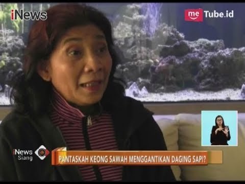 Mentan Sarankan Makan Keong, Menteri Susi: Keong Sawah Enak dan Sehat Sekali - iNews Siang 06/12